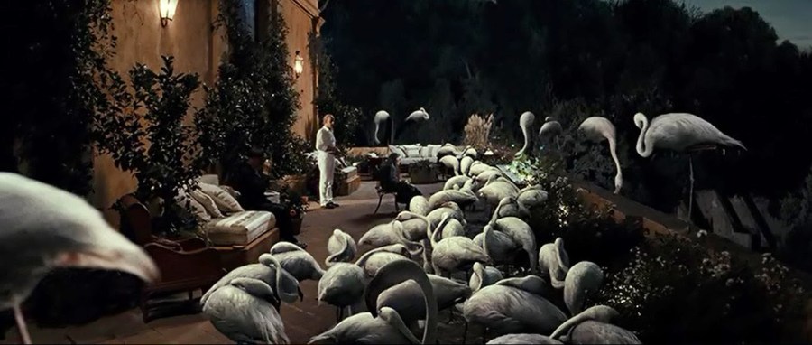 el_circulo_del_fotograma_La_gran_belleza_escena_de_flamencos