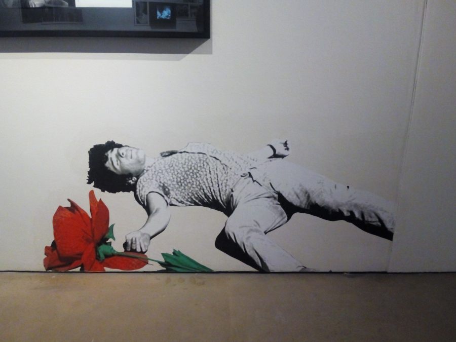 el_circulo_del_fotograma_pasolini_roma_museo_san_telmo_muerte_de_pasolini